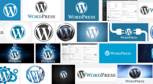 WordPress Multisite - So verwaltet man mehrere Webseiten praktisch mit einem WordPress-Multisite-Netzwerk und nur einer Installation