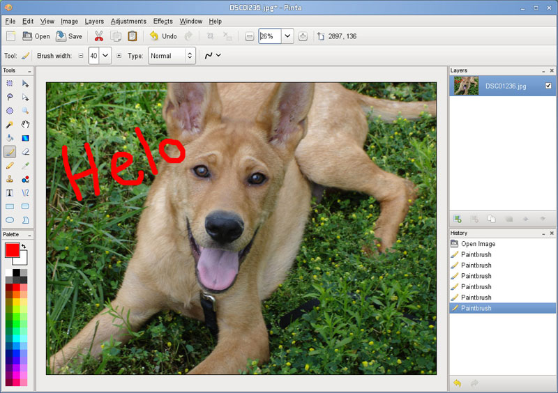 Photoshop Alternative auch kostenlose Freeware