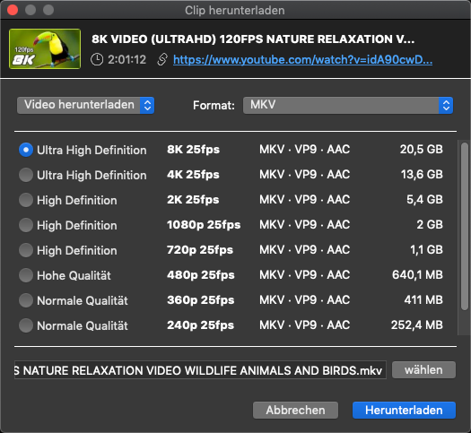 Einstellungen der Qualitätsstufe beim 4K Video Downloader